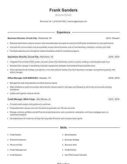 Business Director Resume