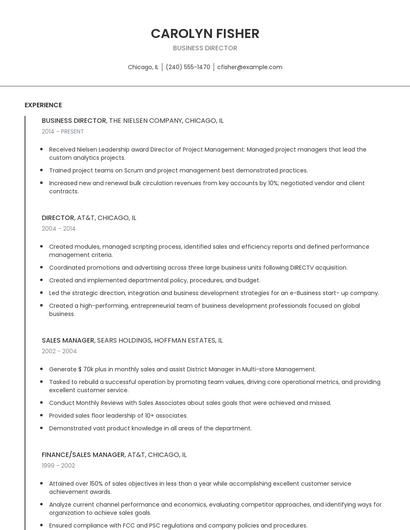 Business Director Resume