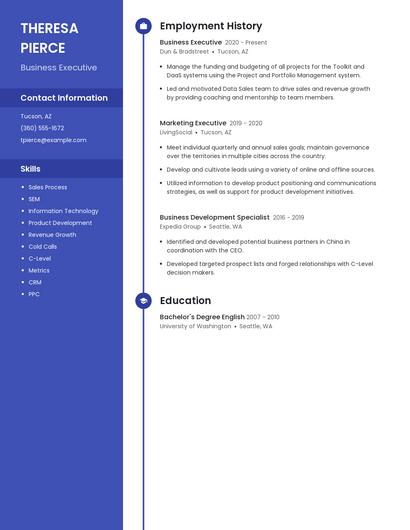 Business Executive Resume