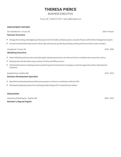Business Executive Resume