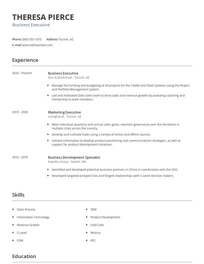 Business Executive Resume