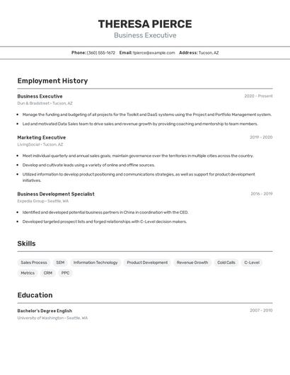 Business Executive Resume