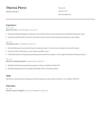 Business Executive Resume