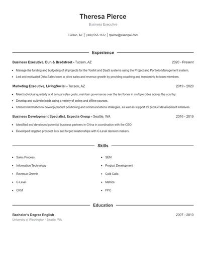 Business Executive Resume
