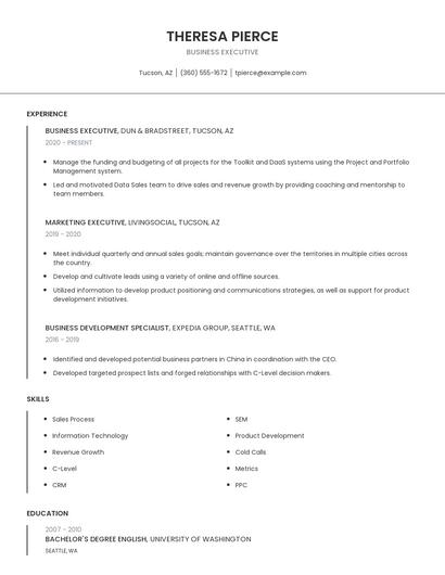 Business Executive Resume