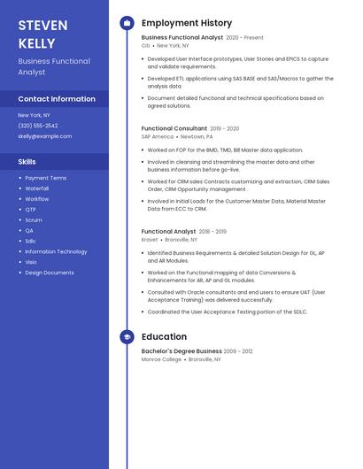Business Functional Analyst Resume