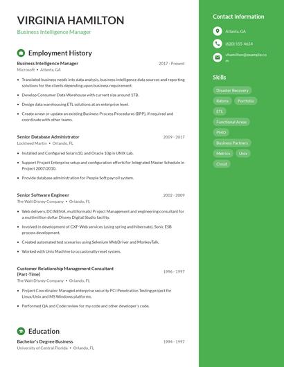 Business Intelligence Manager Resume