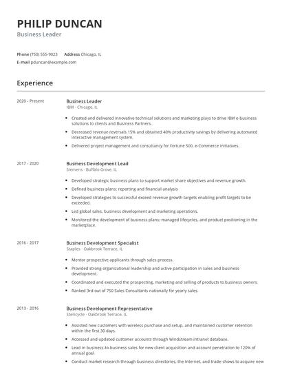 Business Leader Resume