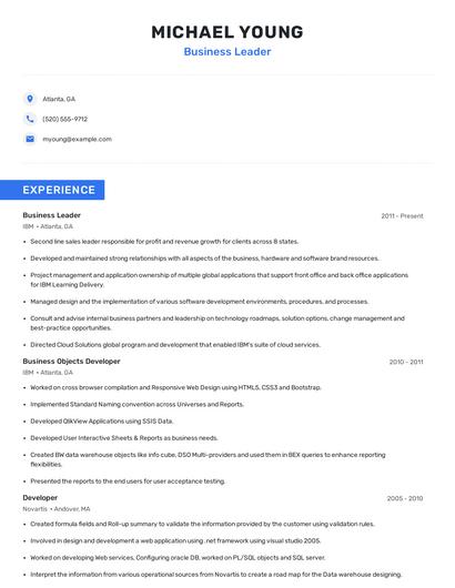 Business Leader Resume