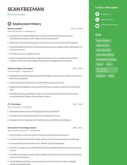 Resume example 5