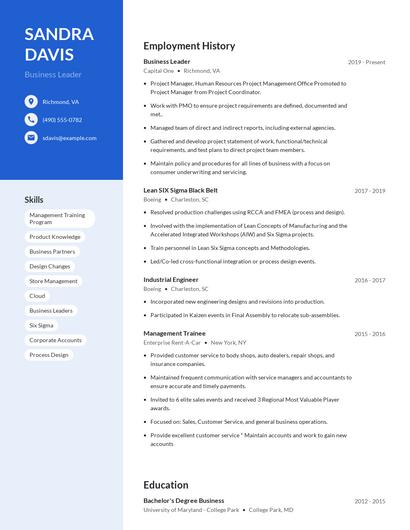 Business Leader Resume