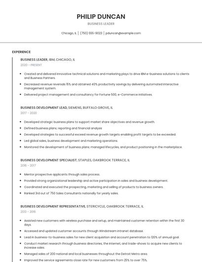 Business Leader Resume