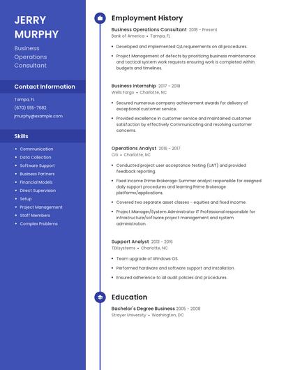 Business Operations Consultant Resume