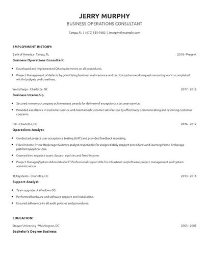 Business Operations Consultant Resume