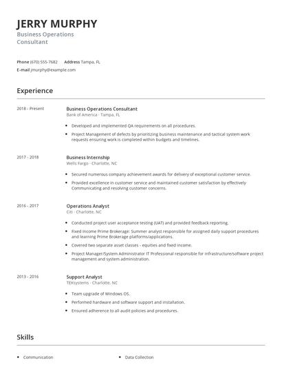 Business Operations Consultant Resume