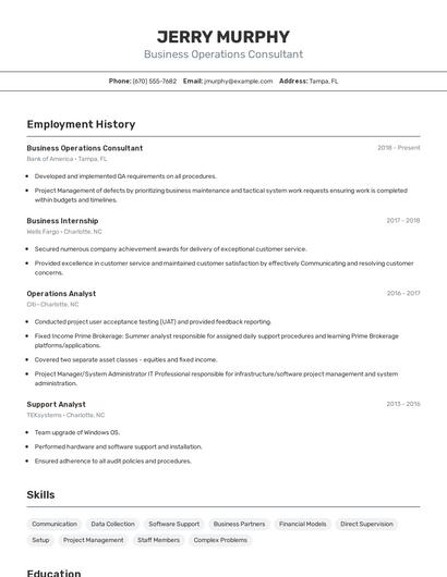 Business Operations Consultant Resume