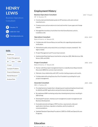 Business Operations Consultant Resume