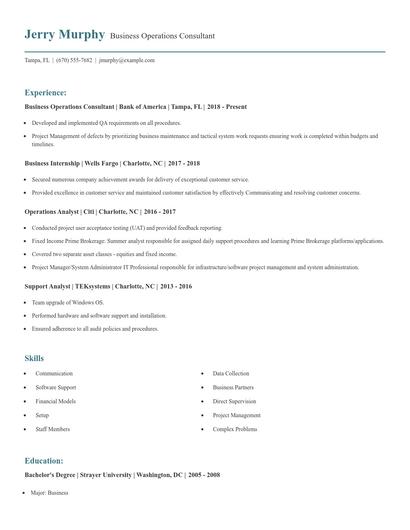 Business Operations Consultant Resume