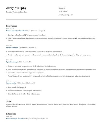 Business Operations Consultant Resume