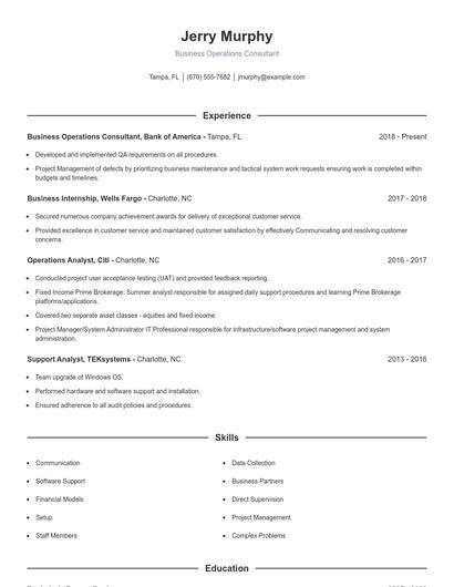 Business Operations Consultant Resume