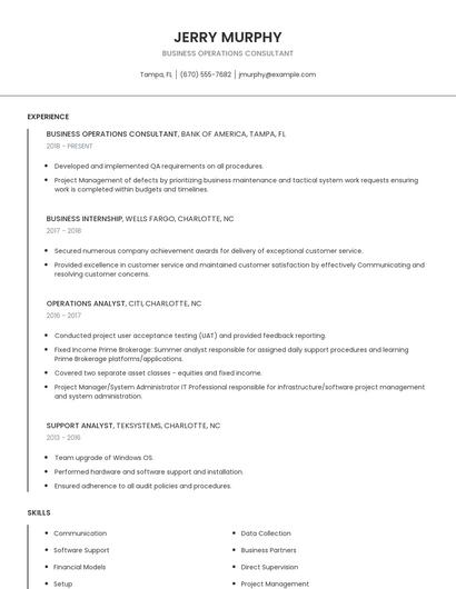 Business Operations Consultant Resume