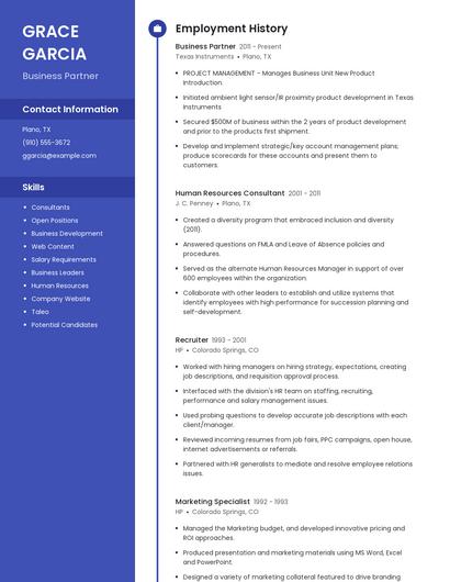 Business Partner Resume