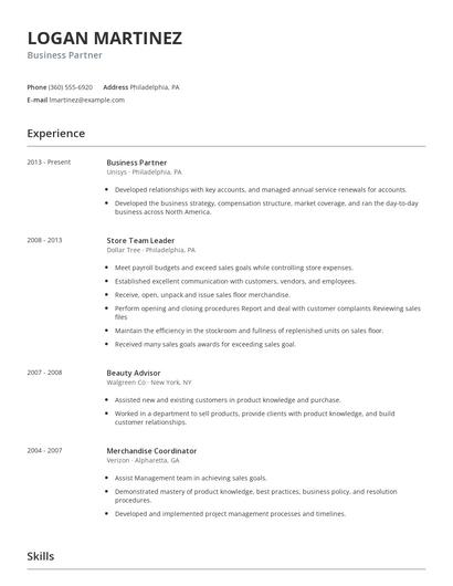 Business Partner Resume