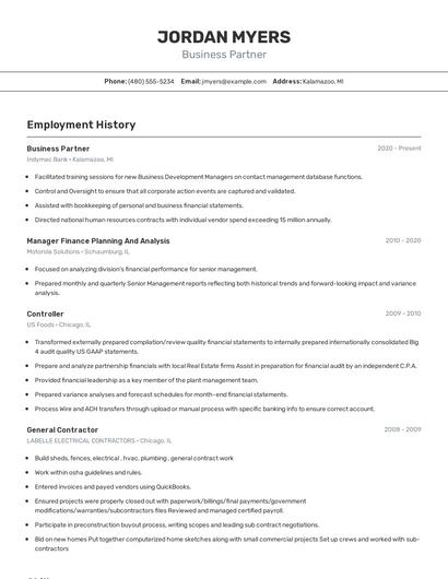 Business Partner Resume