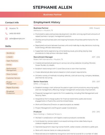 Business Partner Resume