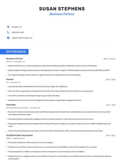 Business Partner Resume
