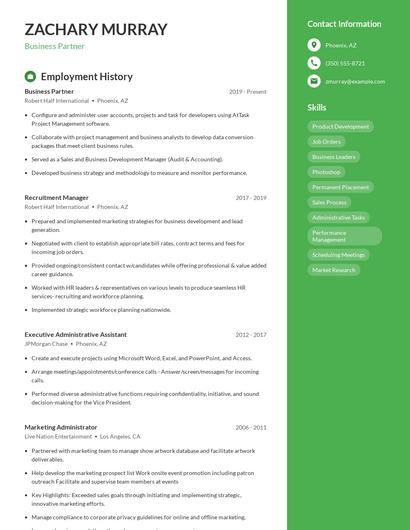 Business Partner Resume