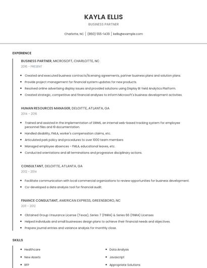 Business Partner Resume
