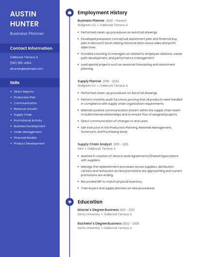 Business Planner Resume
