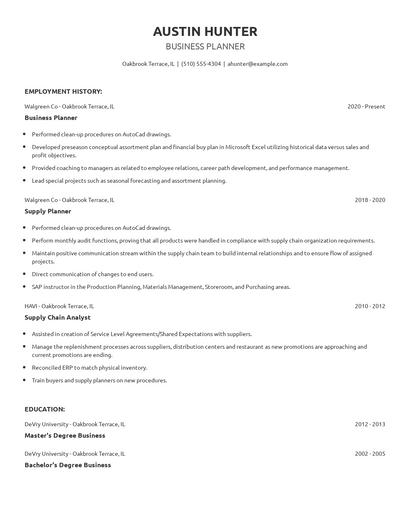 Business Planner Resume