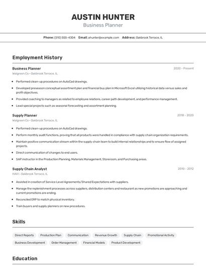Business Planner Resume