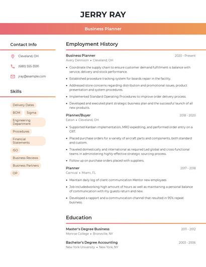 Business Planner Resume