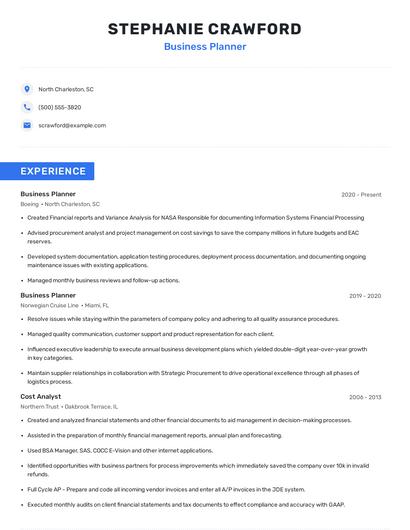 Business Planner Resume