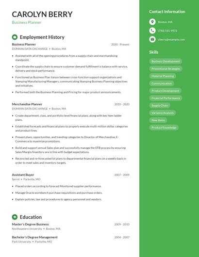 Business Planner Resume