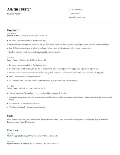 Business Planner Resume