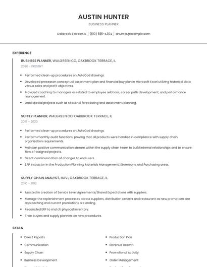 Business Planner Resume