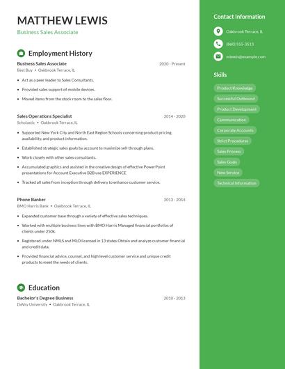 Business Sales Associate Resume