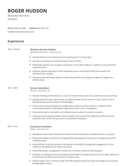 Business Services Analyst Resume