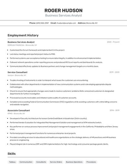Business Services Analyst Resume