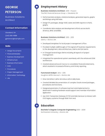 Business Solutions Architect Resume