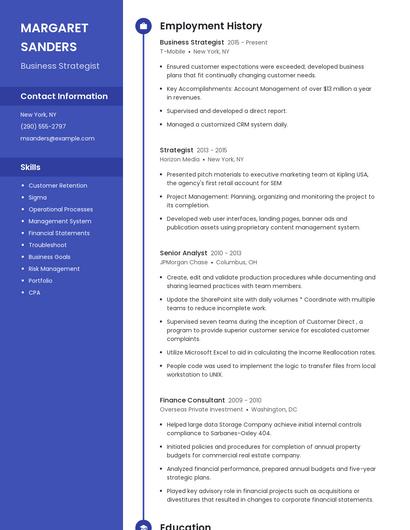 Business Strategist Resume