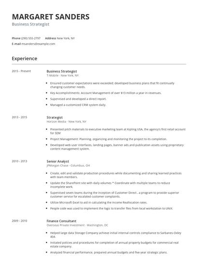 Business Strategist Resume