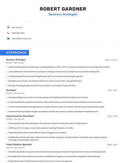 Business Strategist Resume
