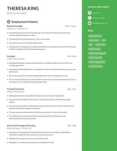 Business Strategist Resume