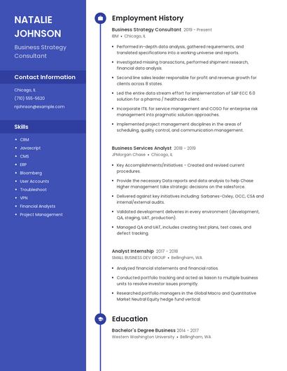 Business Strategy Consultant Resume