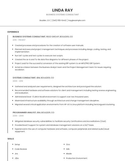 Business Systems Consultant Resume